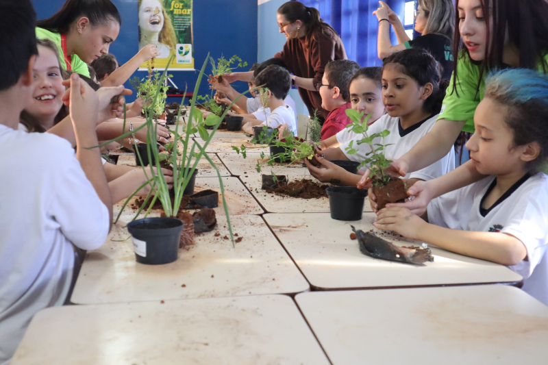 Descrição da imagem