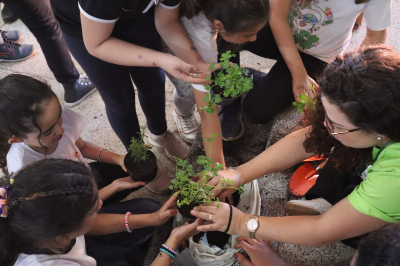 Descrição da imagem